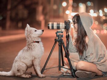 Comment choisir le photographe idéal pour votre chien ?