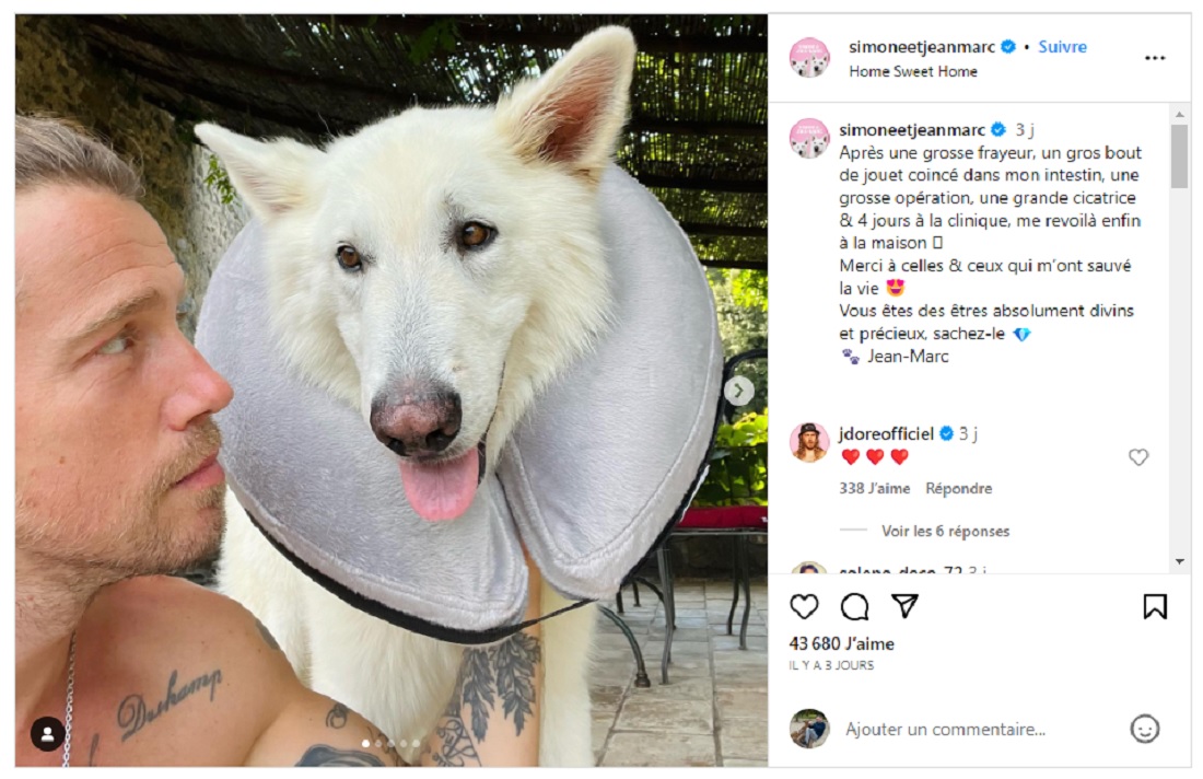 Julien Doré, inquiet pour son Berger Blanc Suisse, donne des nouvelles