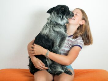 Les 8 races de chien que vous pourrez récompenser par des câlins