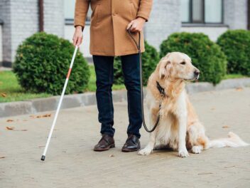 Les 12 meilleures races de chien d&rsquo;assistance