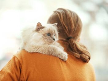 Voici les 9 races de chat qui font super attention à leur maître