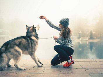 Les 8 races de chien qui ont besoin d’un maître patient