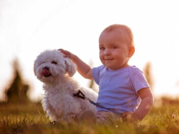 Les 9 races de chien les plus merveilleuses avec les enfants