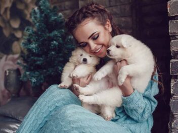 Quels sont les noms de chiens les plus en vogue en France en 2023 ?