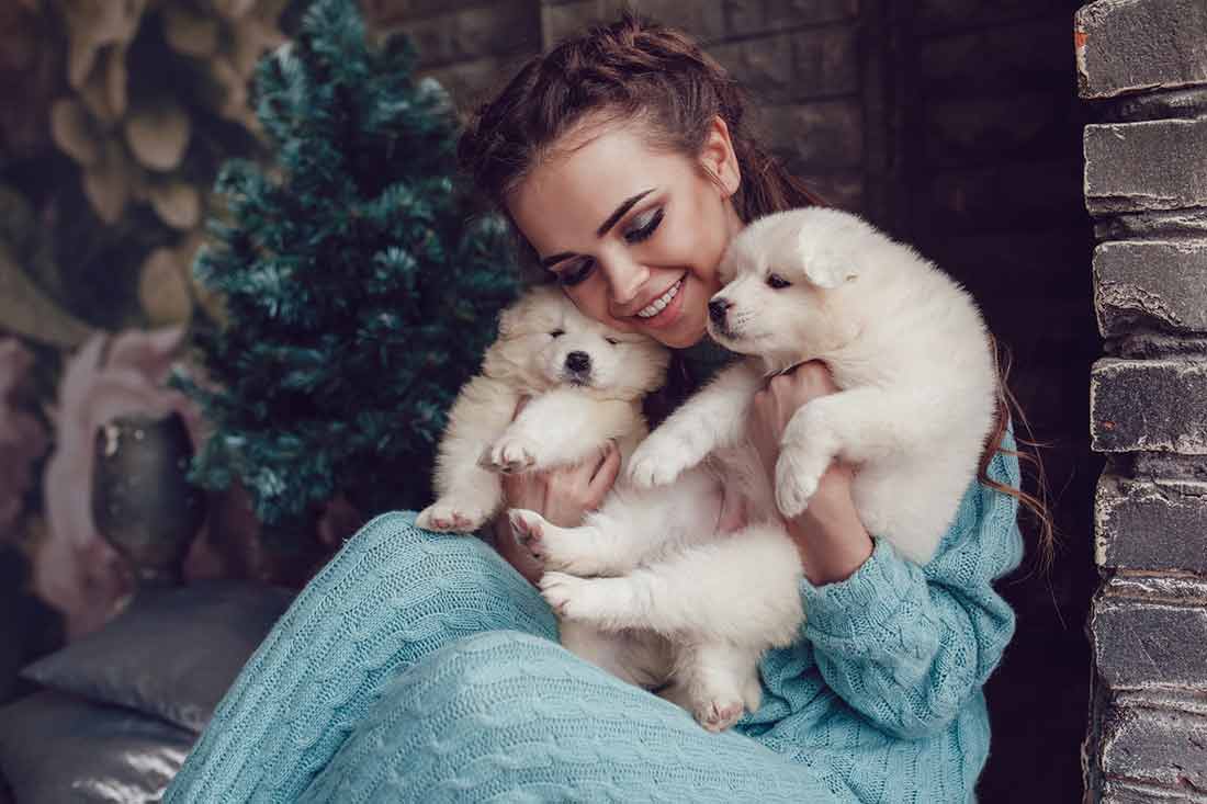 Quels sont les noms de chiens les plus en vogue en France en 2023 ?