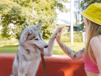 5 Problèmes de dressage de chien courants et leurs solutions