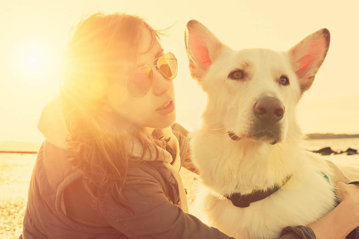 Les 8 races de chien qui ont besoin de beaucoup d’interactions sociales
