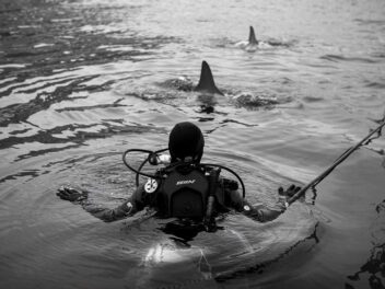 Cette plongeuse de 23 ans défie l&rsquo;impossible et nage avec un requin préhistorique rarissime des abysses