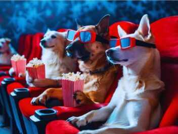 Incroyable : Ce cinéma parisien transforme sa salle en paradis pour chiens le temps d&rsquo;une soirée