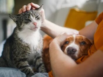 Découvrez les prénoms tendance qui affolent les maîtres pour leurs animaux en 2024 : le second va vous surprendre !