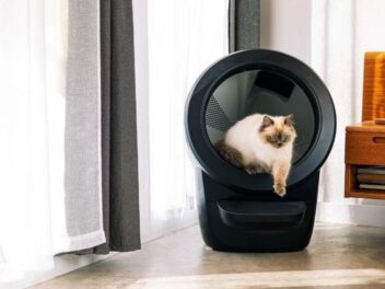 Cette litière révolutionnaire à 900€ va transformer votre vie de propriétaire de chat