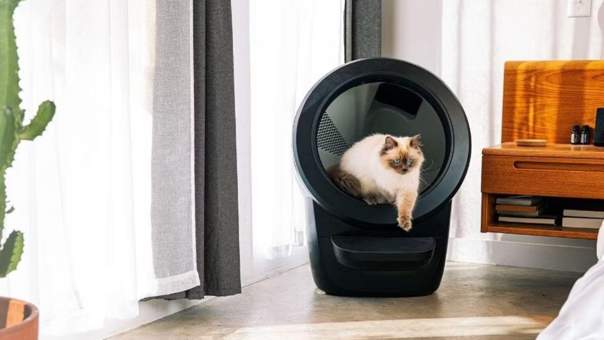 Cette litière révolutionnaire à 900€ va transformer votre vie de propriétaire de chat
