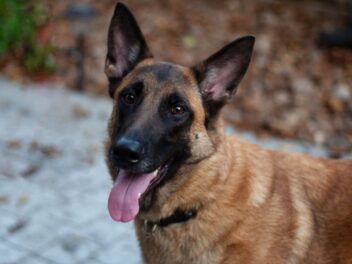 Cette femme disparaît mystérieusement pendant l&rsquo;orage : ce qui la retrouve va vous émouvoir !