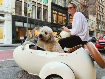 Transporter son chien à moto : nos conseils choc pour éviter les erreurs de débutant