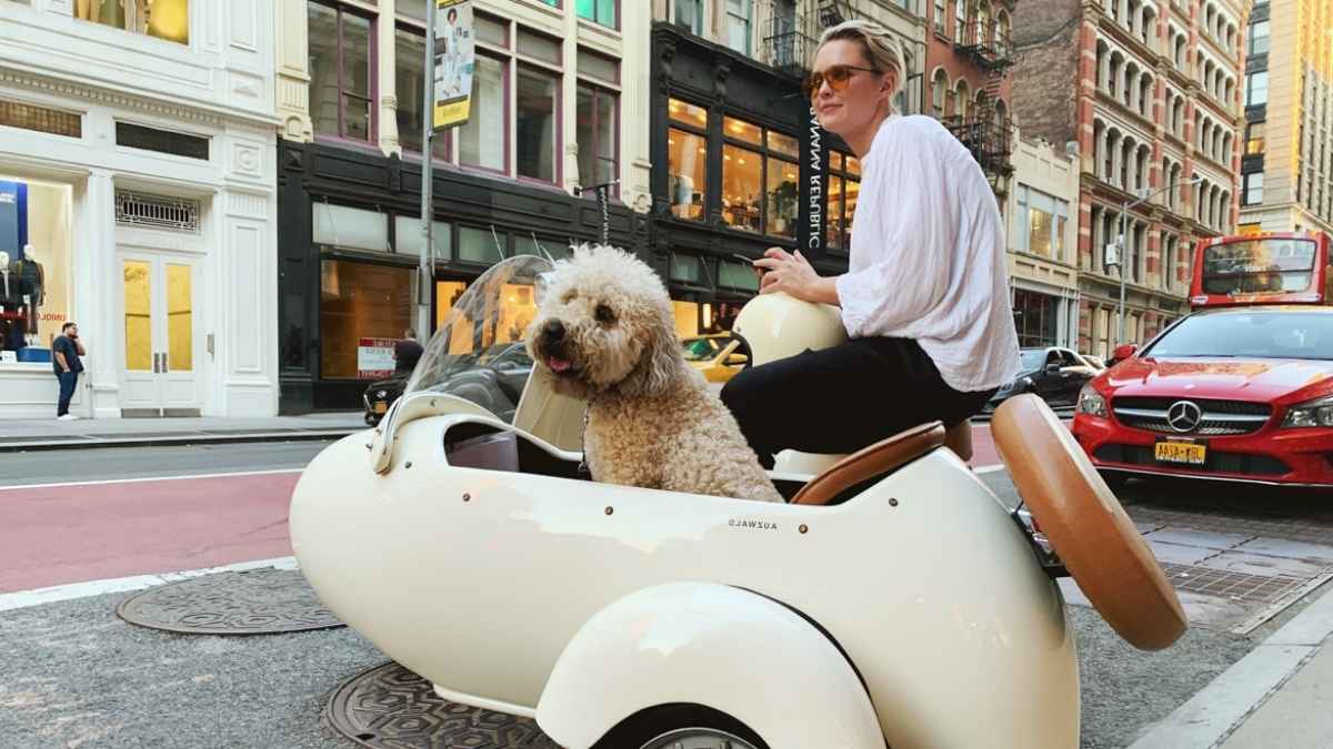 Transporter son chien à moto : nos conseils choc pour éviter les erreurs de débutant