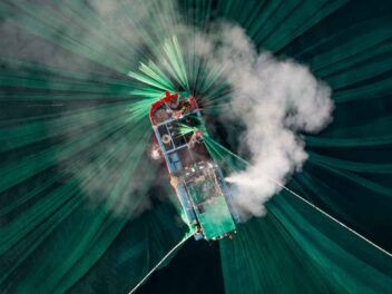 Ocean Photographer 2024 : Ces photos sous-marines vont vous couper le souffle