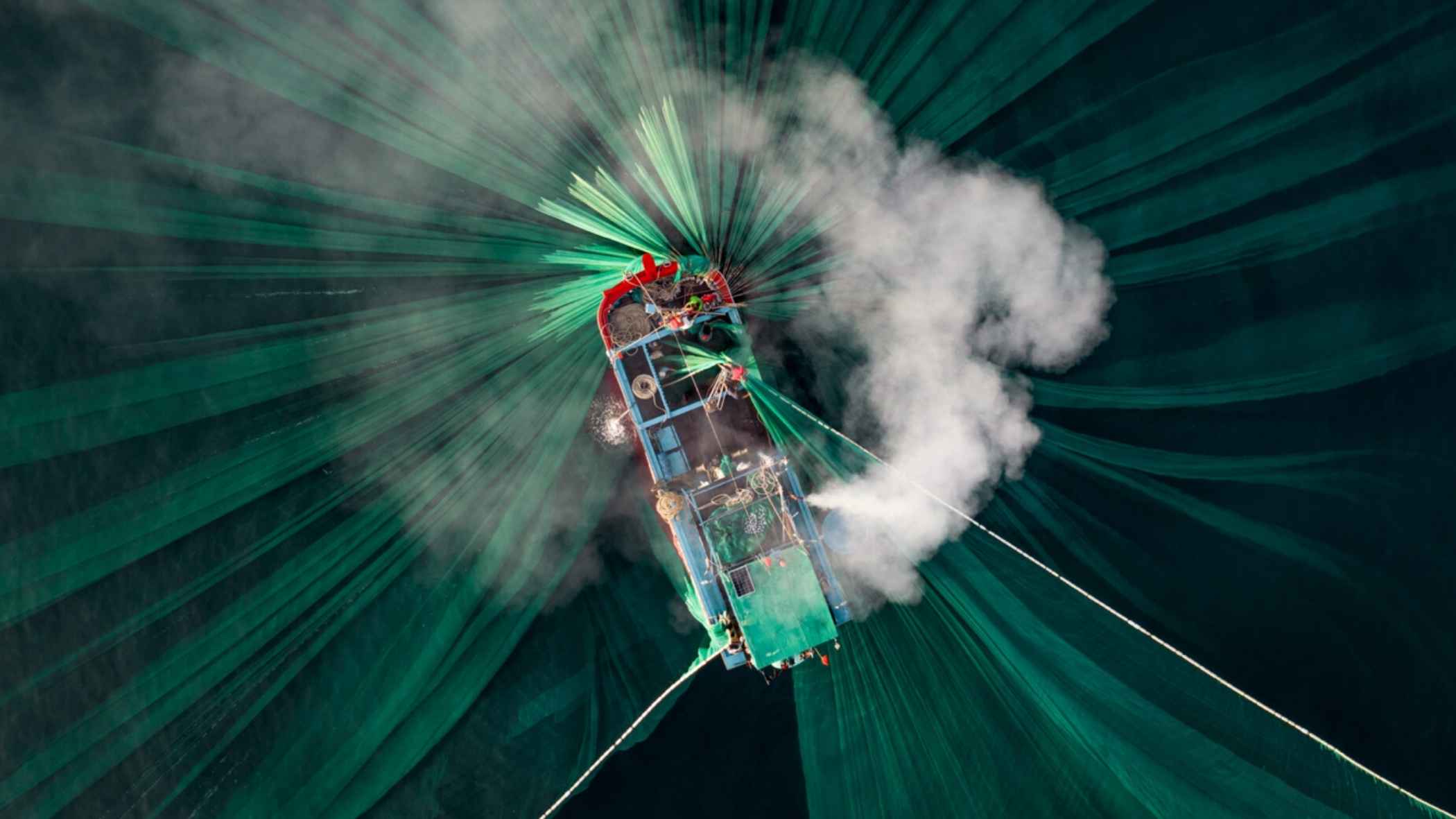 Ocean Photographer 2024 : Ces photos sous-marines vont vous couper le souffle