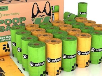 Sacs à crottes pour chien : ce que vous ignoriez sur leur impact environnemental va vous choquer