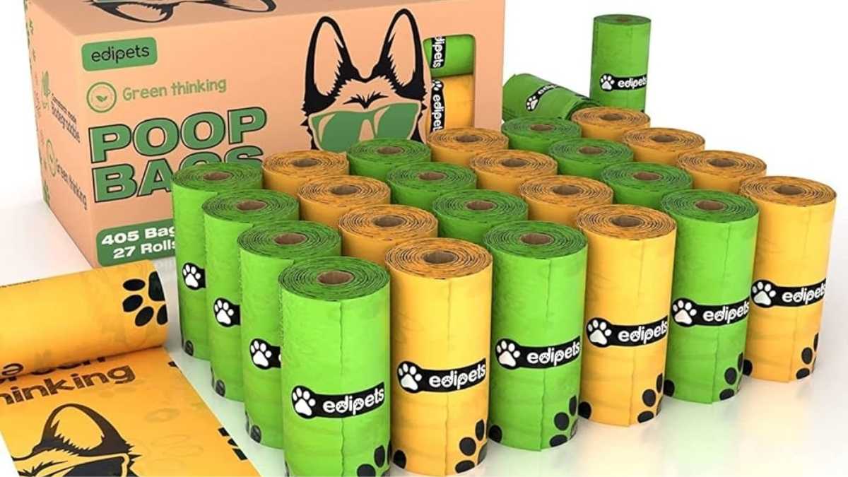 Sacs à crottes pour chien : ce que vous ignoriez sur leur impact environnemental va vous choquer