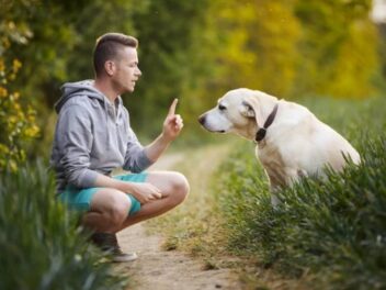 Propriétaires de chiens : cette nouvelle taxe de 120€ par an pourrait bientôt arriver en France