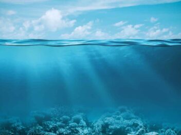 Pollution sonore des océans : l&rsquo;Europe impose enfin des limites, voici ce qui va changer pour sauver les baleines !