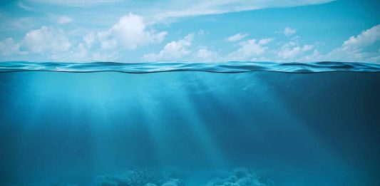 pollution sonore océan europe baleines protection