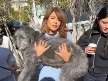 Ryan Gosling et Eva Mendes bouleversent Hollywood avec cette adoption inattendue !