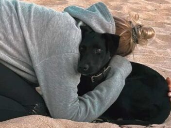 Cette chienne tchèque s&rsquo;échappe d&rsquo;un avion et déclenche une chasse à l&rsquo;homme à l&rsquo;aéroport de Roissy