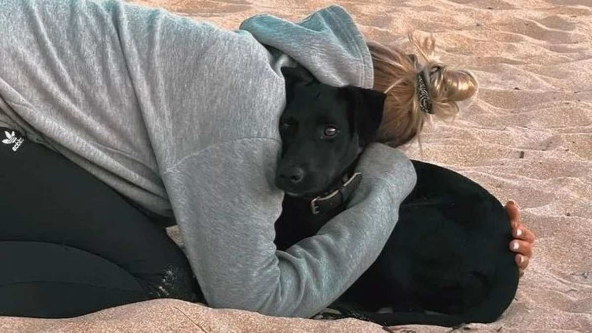 Cette chienne tchèque s&rsquo;échappe d&rsquo;un avion et déclenche une chasse à l&rsquo;homme à l&rsquo;aéroport de Roissy
