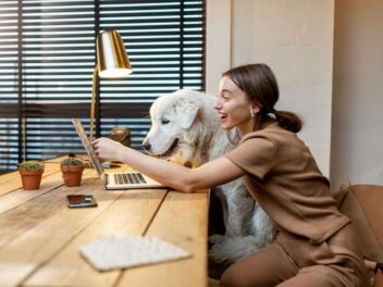 Chiens au bureau : la nouvelle mode qui divise les entreprises, voici pourquoi les managers paniquent !