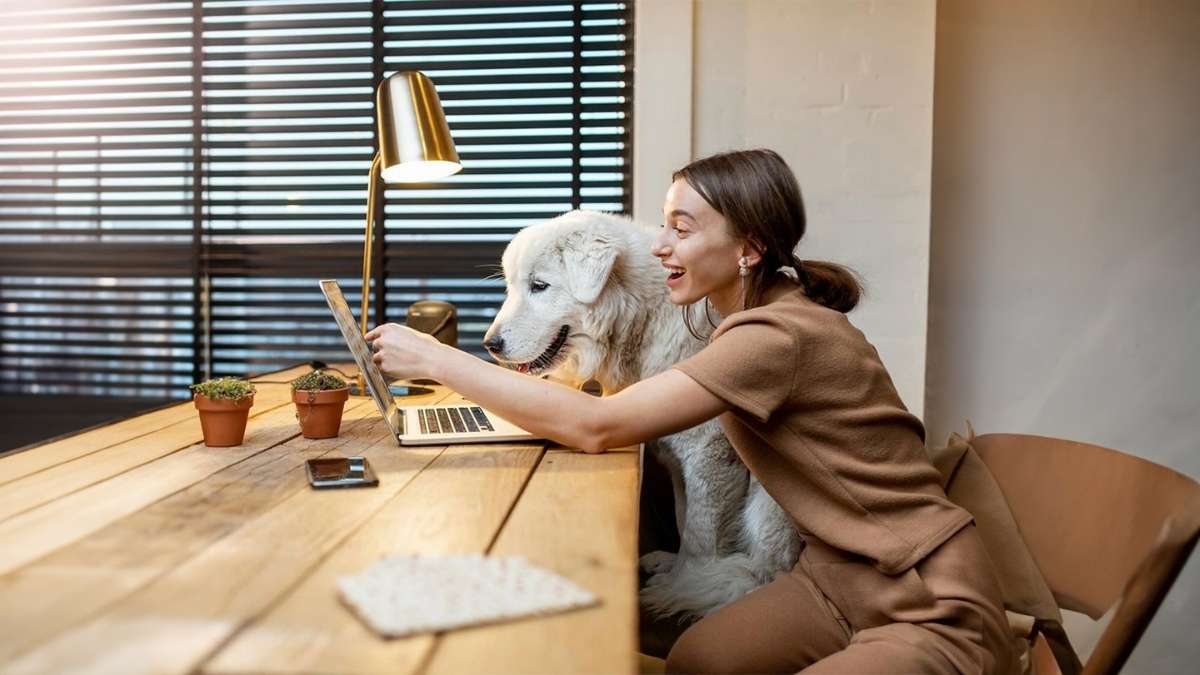 Chiens au bureau : la nouvelle mode qui divise les entreprises, voici pourquoi les managers paniquent !