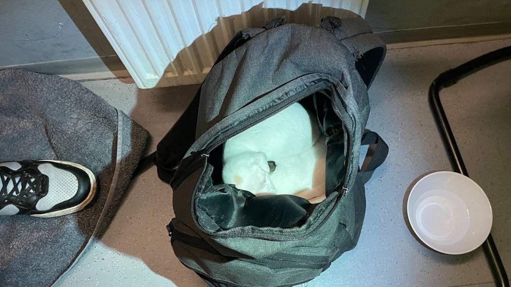 Contrôle choc à la gare : son sac à dos cachait un terrible trafic
