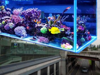 Deux pétitions demandent la fin des aquariums dans le métro de Lille – Déjà 20.000 signatures !