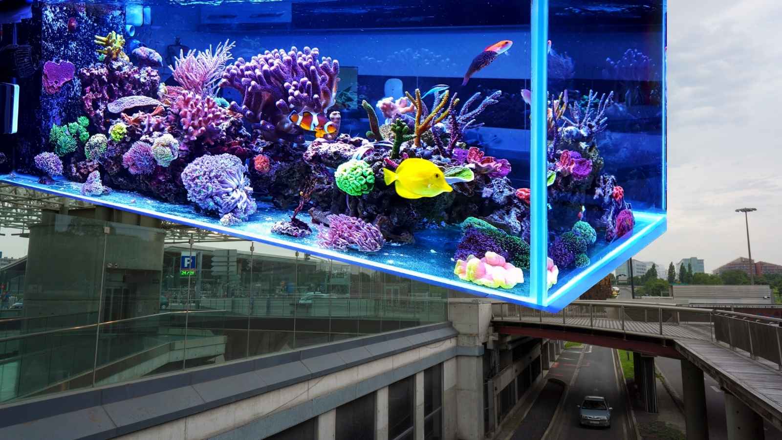 Deux pétitions demandent la fin des aquariums dans le métro de Lille – Déjà 20.000 signatures !