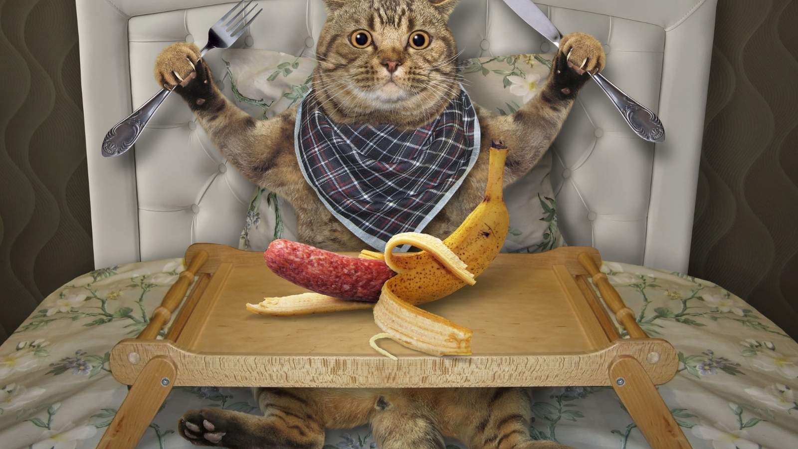 Votre animal mange tout ? Découvrez comment gérer le syndrome de Pica !