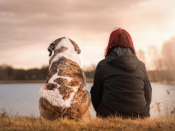 La crémation pour mon chien, trouvez les démarches pour ce choix digne
