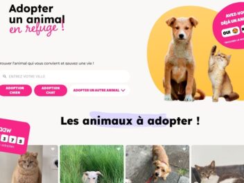 Paaw : L&rsquo;application innovante pour unir animaux et familles