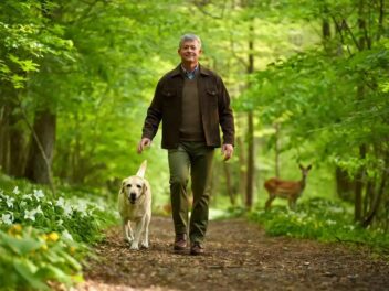 Promener son chien sans laisse peut coûter cher : attention aux amendes !