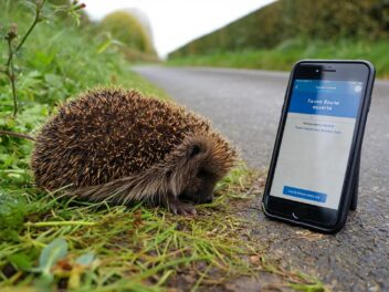 L&rsquo;application qui change la donne pour la protection de la faune en Normandie