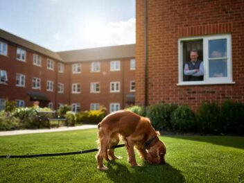 Peut-on laisser son chien faire ses besoins dans le jardin de la copropriété ?