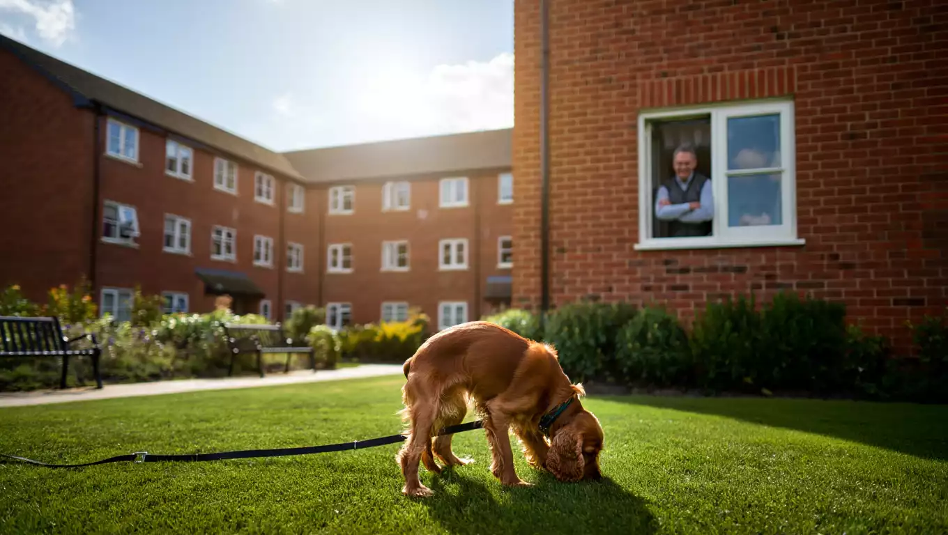 Peut-on laisser son chien faire ses besoins dans le jardin de la copropriété ?