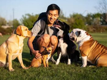 Découvrez comment choisir le compagnon idéal à quatre pattes