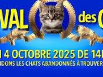 Premier Festival des Chats au Grand Rex : Plongée dans l&rsquo;Univers Félin