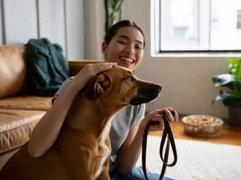 Gardez votre chien sans vous ruiner : astuces et conseils pour une garde à domicile réussie