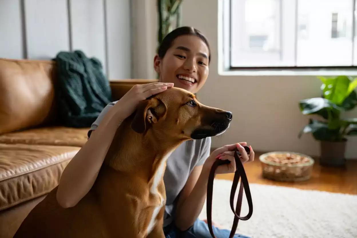 Gardez votre chien sans vous ruiner : astuces et conseils pour une garde à domicile réussie