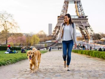 Que faire à Paris avec votre chien ? Découvrez les meilleures adresses et idées de sorties !