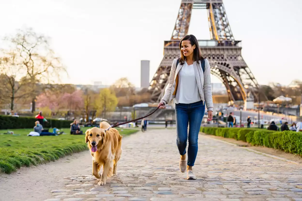 Que faire à Paris avec votre chien ? Découvrez les meilleures adresses et idées de sorties !