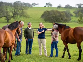L&rsquo;équithérapie à Marolles-en-Brie : quand le cheval devient allié face au handicap