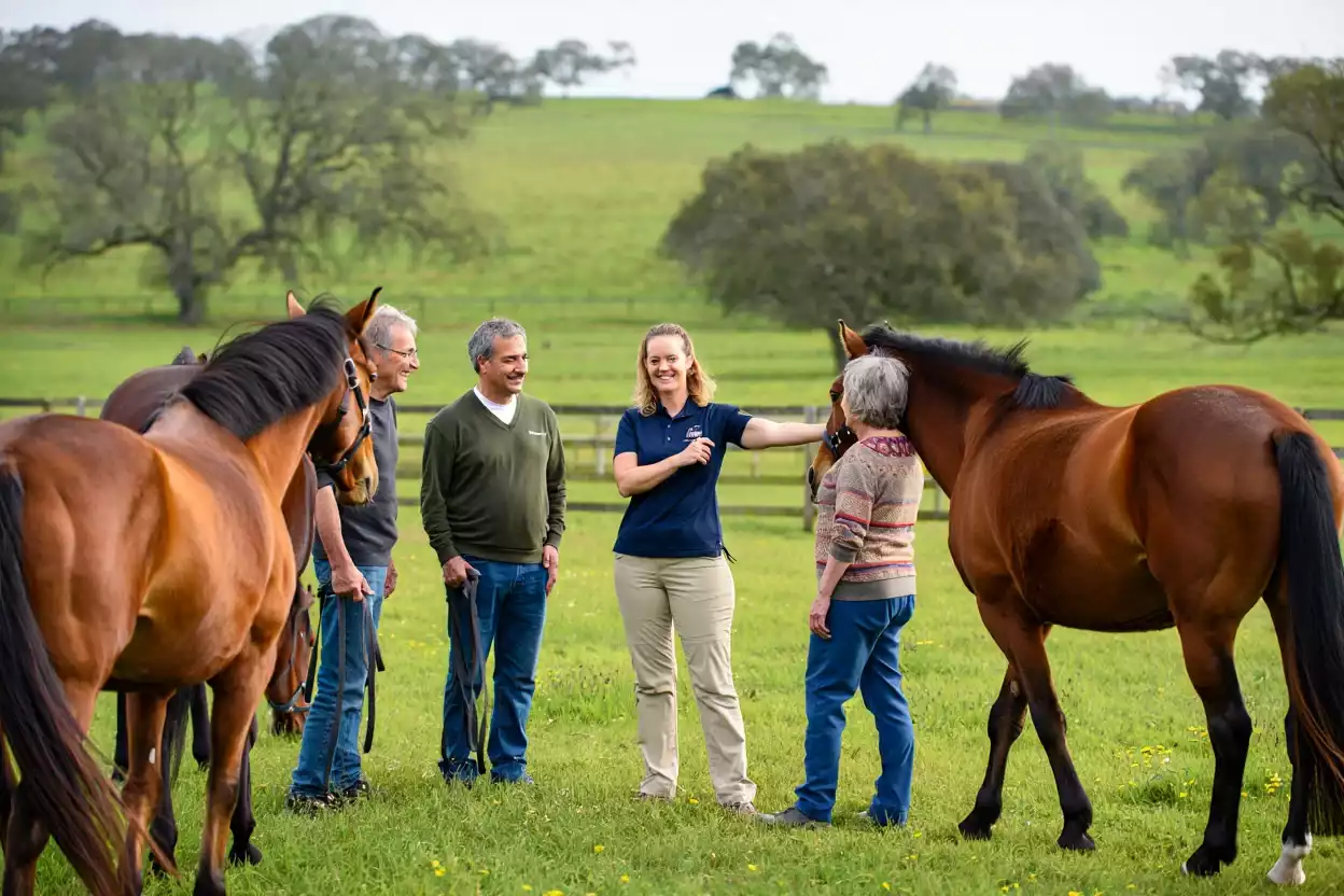 L&rsquo;équithérapie à Marolles-en-Brie : quand le cheval devient allié face au handicap