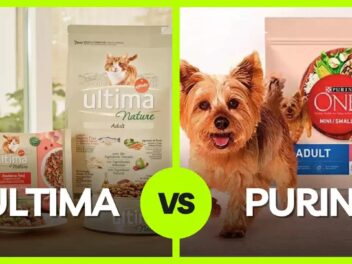 Comparatif 2025 : Choisir entre ULTIMA et PURINA One pour nourrir vos animaux